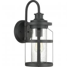 Progress P560095-031 - Haslett Collection One-Light Medium Wall Lantern