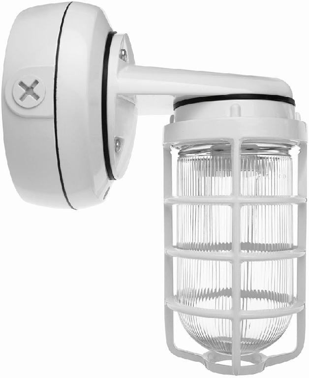 Vaporproof, 900 lumens, CFL Bracket 13W, Qt 3/4 inch, white, with glass globe, Cast guard