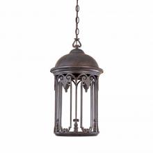 World Imports WI971519 - Dark Sky 11 in. Old Bronze Outdoor Hanging Light