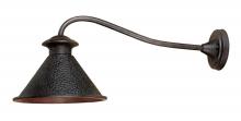 World Imports WI900489 - Dark Sky Essen 1-Light Outdoor Bronze Long-Arm Wall Lamp